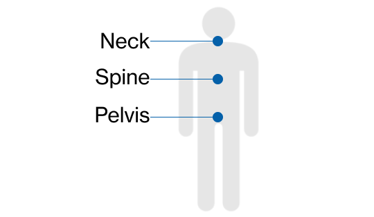 neck