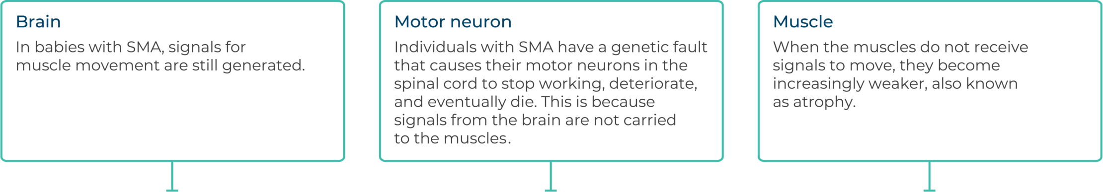 What is SMA
