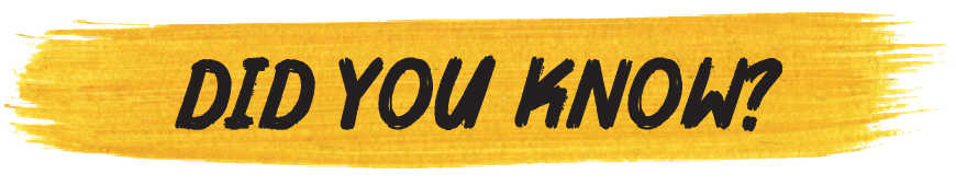 Did You Know?